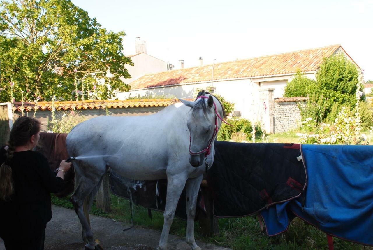 Ecurie De La Grange L'Abbe Daire Le Langon Dış mekan fotoğraf
